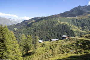 Alpage du Tseppi. Bruson, Valais. Suisse