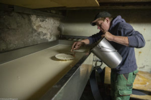 Crémage du lait avant la fabrication du fromage Etivaz dans le Pays d'en Haut. Suisse