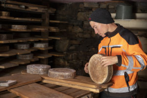 Affinage des fromages à l'alpage de Mügaia, à Sonogno, Vallée de la Verzasca dans le Tessin. Suisse