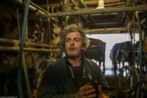 Portrait d'homme, éleveur, à la fromagerie de Blanzay.
