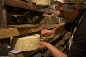 Marquage de la date sur la croûte dans la cave d'affinage des fromages. Fromagerie de Blanzay.