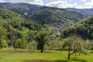Paysage de montagne des Vosges, vallée de Linthal.