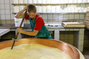 Une fromagère décaille le caillé dans un grand chaudron en cuivre pour la fabrication du Munster fermier.
