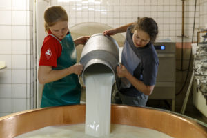 Deux fromagères vident un bidon de lait dans un chaudron en cuivre pour la fabrication du Munster fermier.