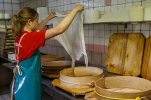 Une fromagère pose la toile dans un cercle en bois utilisé pour la fabrication du Bargkass, fromage de montagne.