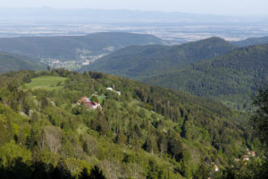 Paysage de montagne des Vosges, la vallée de Linthal.