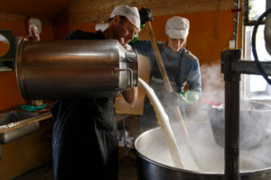 Un homme, fromager, et une femme, fromagère, vident un bidon de lait de chèvre dans un chaudron pour la fabrication du Geitost ou Brunost, fromage traditionnel norvégien, à l'alpage de Nupshadlene en Norvège