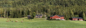 Paysage de montagne avec ferme rouge traditionnelle en bois dans le village d'Atrå en Norvège