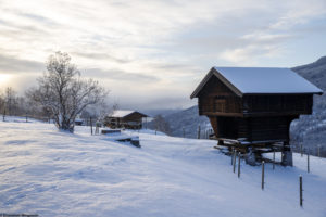 Paysage d'hiver, stabbur, grenier en bois traditionnel norvégien, sous la neige à Austbygde en Norvège