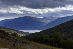 Paysage de montagne, lac Tinnsjå, vallée Tessungdalen (commune de Tinn) à Austbygde en Norvège