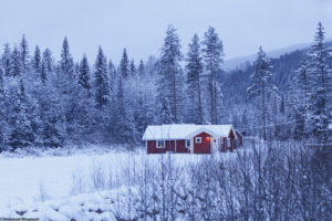 Maison en bois rouge sous la neige illuminée pour Noël à Austbygde en Norvège.