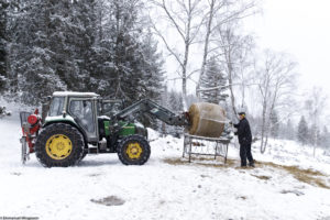 Un homme, éleveur retire le filet autour d'une balle ronde de fourrage fixée sur la pique d'un tracteur pour pouvoir le distribuer à ses brebis dans la neige à Austbygde en Norvège.