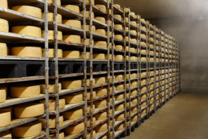 Cave d'affinage pleine de fromages Wrångebäck, le premier fromage suédois reconnu en Appellation d'Origine. Suède