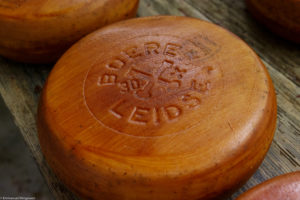 Gros plan sur un fromage Boeren Leidse, reconnu en Appellation d'Origine Protégée à Warmond aux Pays-Bas