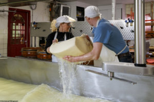 Un homme, fromager, et une femme, fromagère, sortent un fromage de cuve lors de la fabrication du fromage Boeren Goudse Oplegkaas à Rijpwetering aux Pays-Bas