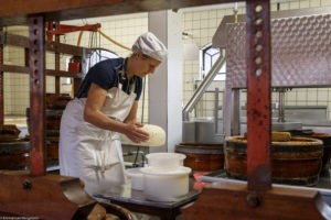 Une femme, fromagère, retourne dans son moule un fromage destiné à la consommation familiale à Rijpwetering aux Pays-Bas