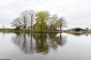 Paysage à Rijpwetering aux Pays-Bas, un canal et sur la rive, une ferme entourée d'arbres.