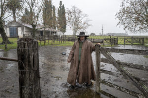 Un homme, éleveur gaucho, sous la pluie mais avec un grande cape et un chapeau ouvre la barrière d'un corral pour ses animaux près de Tacuarembo en Uruguay.