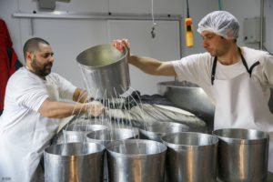 Deux hommes, fromagers, préparent les moules pour la fabrication de fromages traditionnels "Colonia" à la ferme Il Ticino à Nueva Helvecia dans le département de Colonia en Uruguay.