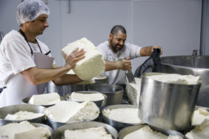 Deux hommes, fromagers, moulent des fromages traditionnels "Colonia" à la ferme Il Ticino à Nueva Helvecia dans le département de Colonia en Uruguay.